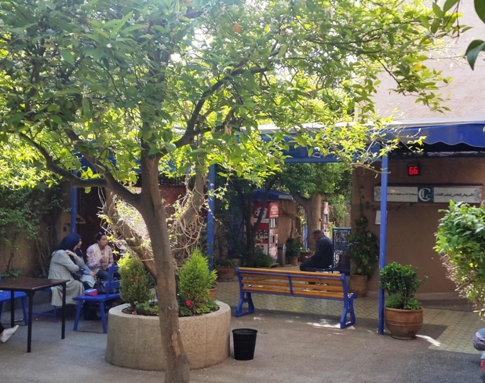 CLC GARDEN FRONT 2